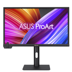 PA24US Professional Monitor
