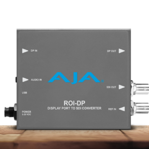 ROI-DP