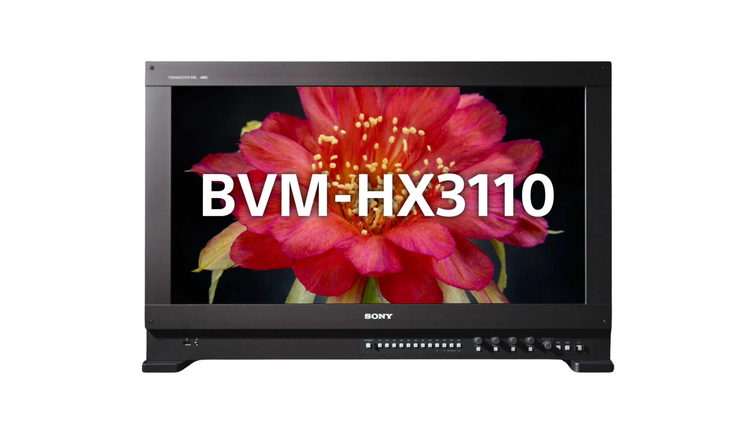 sony-hx3110-no-background
